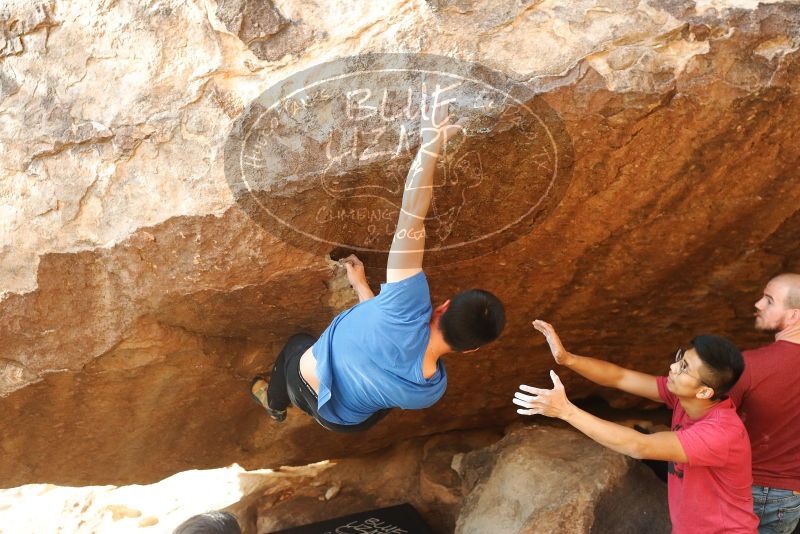 

Filename: SRM_20191109_1706170.jpg
Aperture: f/4.0
Shutter Speed: 1/500
Body: Canon EOS-1D Mark II
Lens: Canon EF 50mm f/1.8 II