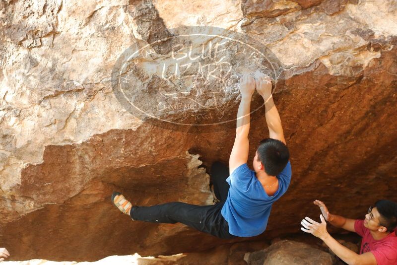 

Filename: SRM_20191109_1706190.jpg
Aperture: f/4.0
Shutter Speed: 1/640
Body: Canon EOS-1D Mark II
Lens: Canon EF 50mm f/1.8 II