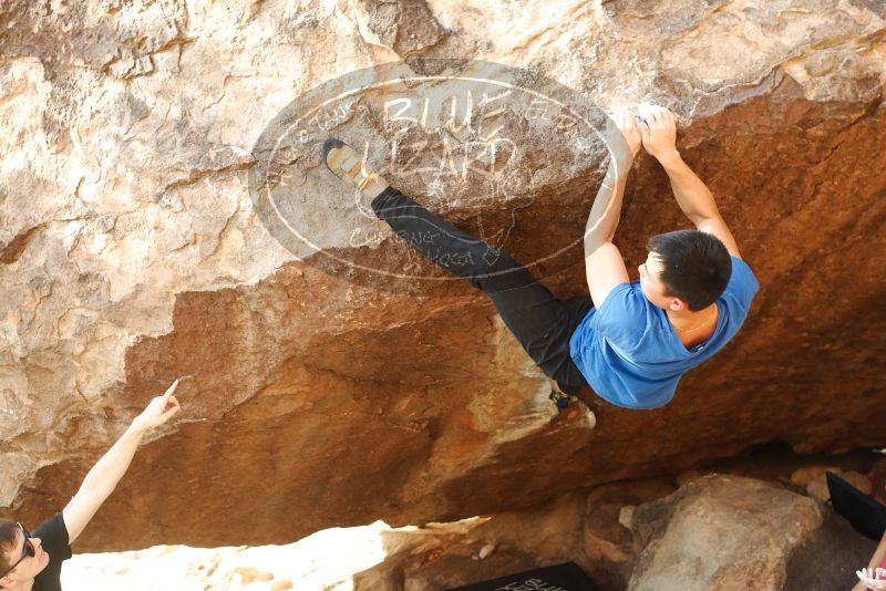 

Filename: SRM_20191109_1706210.jpg
Aperture: f/4.0
Shutter Speed: 1/640
Body: Canon EOS-1D Mark II
Lens: Canon EF 50mm f/1.8 II