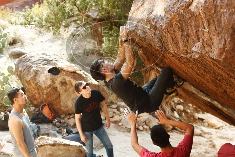 

Filename: SRM_20191109_1707260.jpg
Aperture: f/4.0
Shutter Speed: 1/640
Body: Canon EOS-1D Mark II
Lens: Canon EF 50mm f/1.8 II