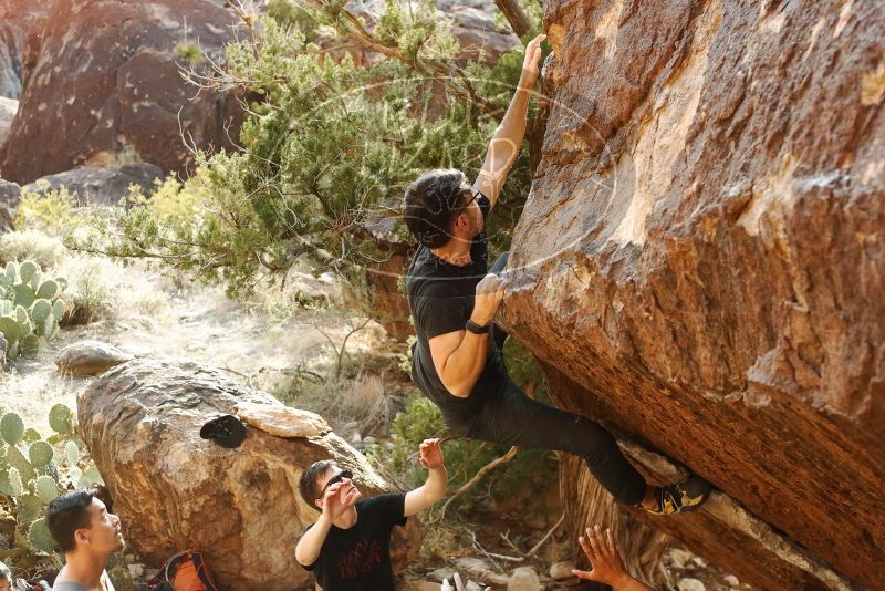 

Filename: SRM_20191109_1707311.jpg
Aperture: f/4.0
Shutter Speed: 1/800
Body: Canon EOS-1D Mark II
Lens: Canon EF 50mm f/1.8 II