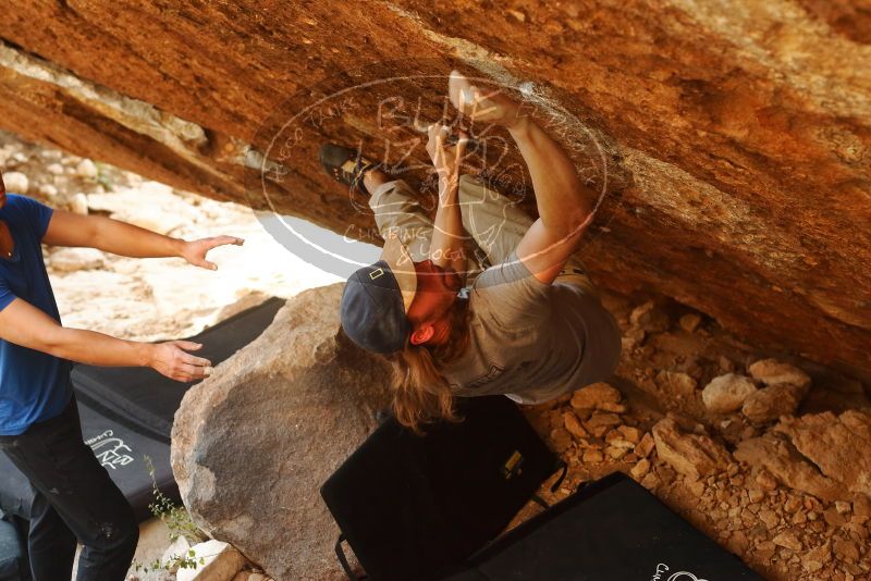 

Filename: SRM_20191109_1714140.jpg
Aperture: f/4.0
Shutter Speed: 1/320
Body: Canon EOS-1D Mark II
Lens: Canon EF 50mm f/1.8 II