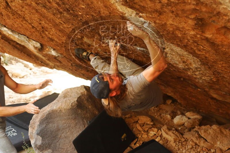 

Filename: SRM_20191109_1716160.jpg
Aperture: f/4.0
Shutter Speed: 1/250
Body: Canon EOS-1D Mark II
Lens: Canon EF 50mm f/1.8 II