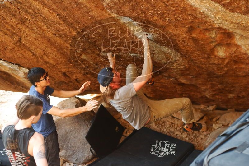 

Filename: SRM_20191109_1719420.jpg
Aperture: f/2.8
Shutter Speed: 1/500
Body: Canon EOS-1D Mark II
Lens: Canon EF 50mm f/1.8 II