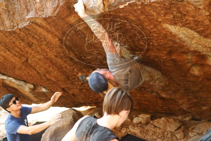 

Filename: SRM_20191109_1719480.jpg
Aperture: f/2.8
Shutter Speed: 1/500
Body: Canon EOS-1D Mark II
Lens: Canon EF 50mm f/1.8 II