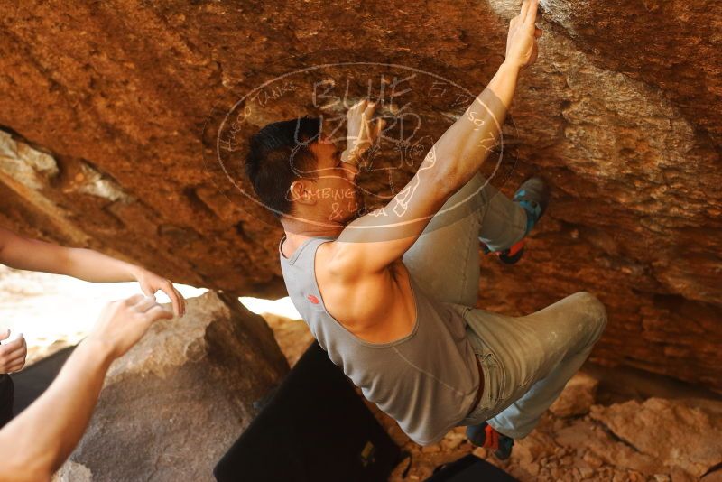 

Filename: SRM_20191109_1723520.jpg
Aperture: f/3.2
Shutter Speed: 1/500
Body: Canon EOS-1D Mark II
Lens: Canon EF 50mm f/1.8 II