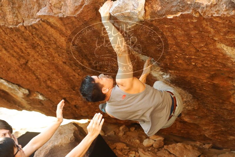 

Filename: SRM_20191109_1724050.jpg
Aperture: f/3.2
Shutter Speed: 1/500
Body: Canon EOS-1D Mark II
Lens: Canon EF 50mm f/1.8 II