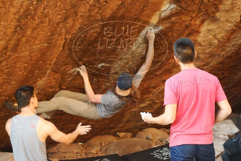 

Filename: SRM_20191109_1732130.jpg
Aperture: f/3.2
Shutter Speed: 1/400
Body: Canon EOS-1D Mark II
Lens: Canon EF 50mm f/1.8 II