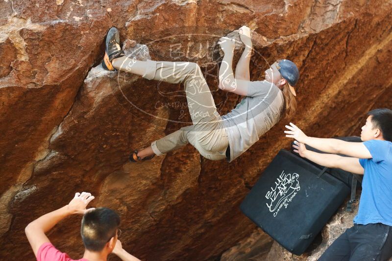 

Filename: SRM_20191109_1732460.jpg
Aperture: f/3.5
Shutter Speed: 1/500
Body: Canon EOS-1D Mark II
Lens: Canon EF 50mm f/1.8 II