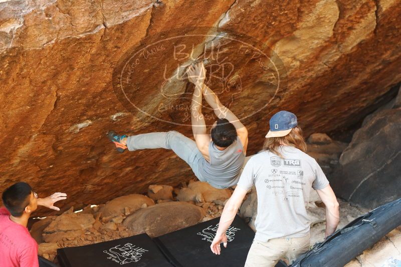 

Filename: SRM_20191109_1736230.jpg
Aperture: f/3.5
Shutter Speed: 1/250
Body: Canon EOS-1D Mark II
Lens: Canon EF 50mm f/1.8 II