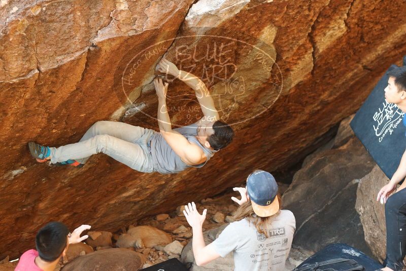 

Filename: SRM_20191109_1736300.jpg
Aperture: f/3.5
Shutter Speed: 1/250
Body: Canon EOS-1D Mark II
Lens: Canon EF 50mm f/1.8 II