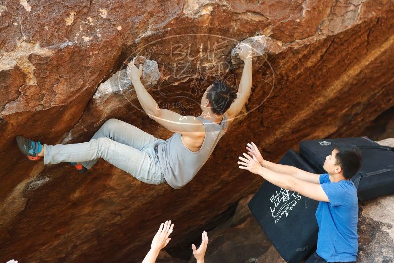 

Filename: SRM_20191109_1736410.jpg
Aperture: f/3.5
Shutter Speed: 1/500
Body: Canon EOS-1D Mark II
Lens: Canon EF 50mm f/1.8 II