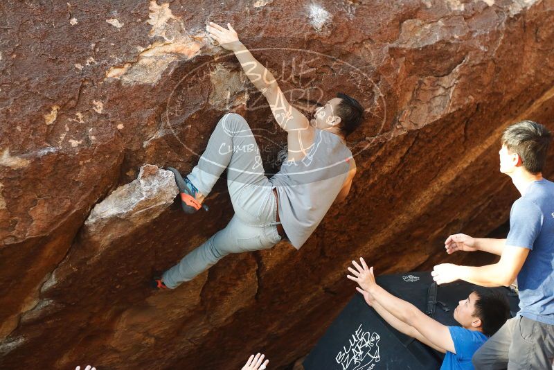 

Filename: SRM_20191109_1736540.jpg
Aperture: f/3.5
Shutter Speed: 1/640
Body: Canon EOS-1D Mark II
Lens: Canon EF 50mm f/1.8 II