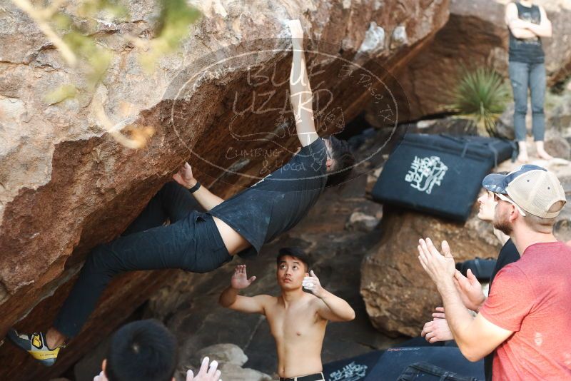 

Filename: SRM_20191109_1744190.jpg
Aperture: f/3.2
Shutter Speed: 1/320
Body: Canon EOS-1D Mark II
Lens: Canon EF 50mm f/1.8 II