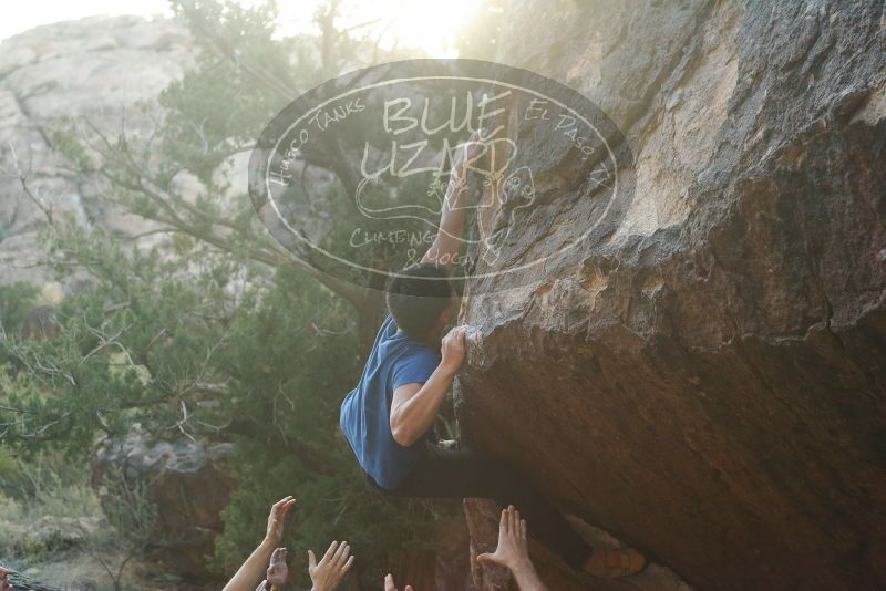 

Filename: SRM_20191109_1749490.jpg
Aperture: f/3.5
Shutter Speed: 1/640
Body: Canon EOS-1D Mark II
Lens: Canon EF 50mm f/1.8 II