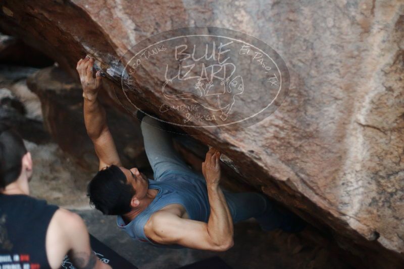 

Filename: SRM_20191109_1758372.jpg
Aperture: f/2.0
Shutter Speed: 1/500
Body: Canon EOS-1D Mark II
Lens: Canon EF 50mm f/1.8 II