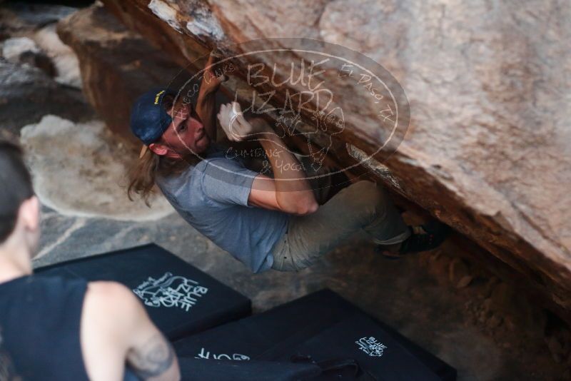 

Filename: SRM_20191109_1801510.jpg
Aperture: f/2.5
Shutter Speed: 1/200
Body: Canon EOS-1D Mark II
Lens: Canon EF 50mm f/1.8 II