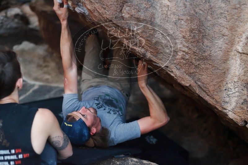 

Filename: SRM_20191109_1802030.jpg
Aperture: f/2.5
Shutter Speed: 1/250
Body: Canon EOS-1D Mark II
Lens: Canon EF 50mm f/1.8 II