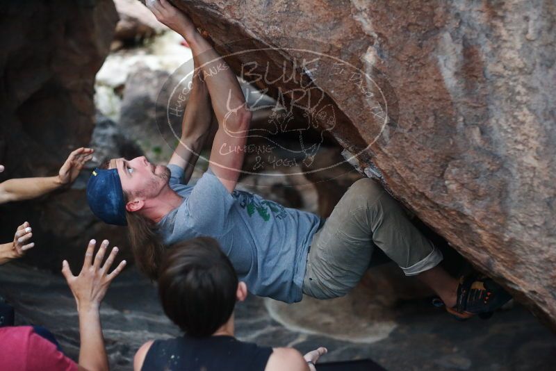 

Filename: SRM_20191109_1802150.jpg
Aperture: f/2.5
Shutter Speed: 1/400
Body: Canon EOS-1D Mark II
Lens: Canon EF 50mm f/1.8 II