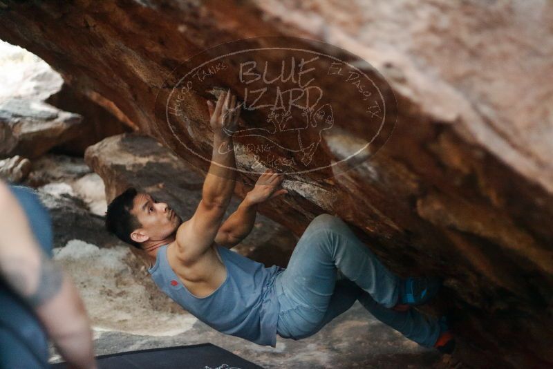 

Filename: SRM_20191109_1809180.jpg
Aperture: f/1.8
Shutter Speed: 1/200
Body: Canon EOS-1D Mark II
Lens: Canon EF 50mm f/1.8 II