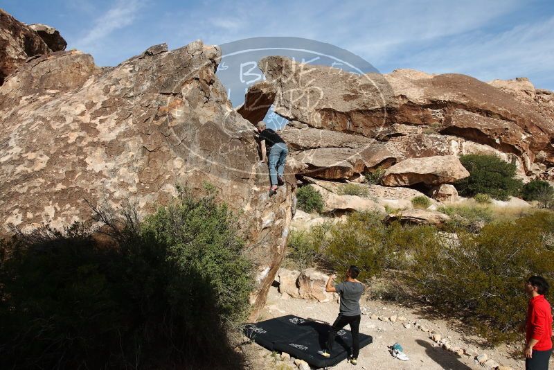 

Filename: SRM_20191110_1053100.jpg
Aperture: f/8.0
Shutter Speed: 1/1600
Body: Canon EOS-1D Mark II
Lens: Canon EF 16-35mm f/2.8 L