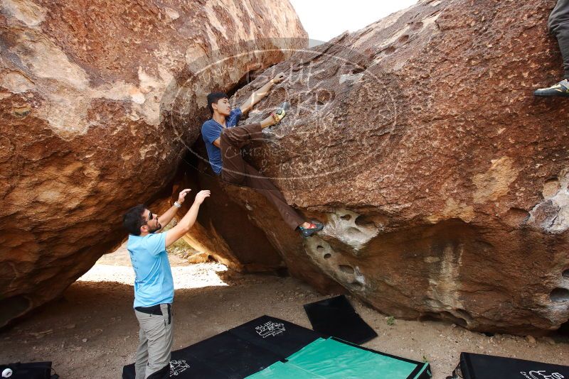 

Filename: SRM_20191110_1056360.jpg
Aperture: f/5.6
Shutter Speed: 1/250
Body: Canon EOS-1D Mark II
Lens: Canon EF 16-35mm f/2.8 L