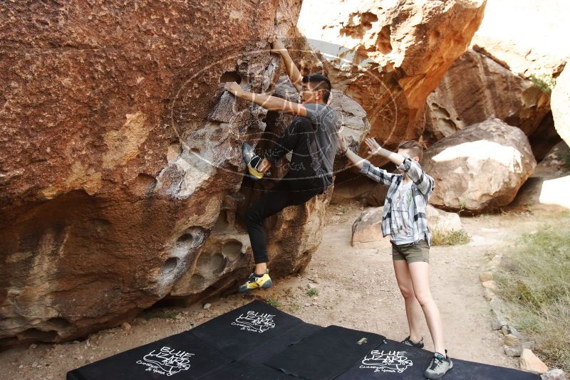 

Filename: SRM_20191110_1100170.jpg
Aperture: f/5.6
Shutter Speed: 1/320
Body: Canon EOS-1D Mark II
Lens: Canon EF 16-35mm f/2.8 L