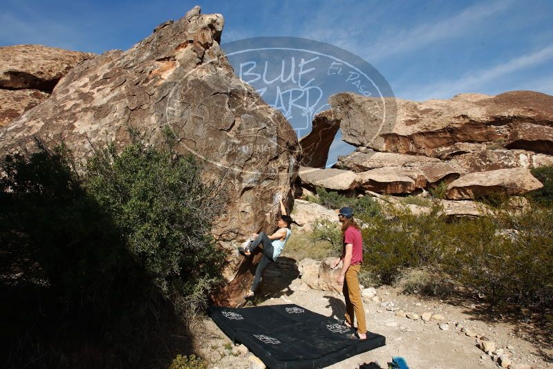 

Filename: SRM_20191110_1104150.jpg
Aperture: f/8.0
Shutter Speed: 1/640
Body: Canon EOS-1D Mark II
Lens: Canon EF 16-35mm f/2.8 L