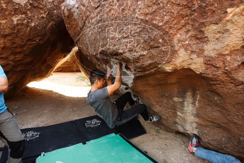 

Filename: SRM_20191110_1107570.jpg
Aperture: f/4.0
Shutter Speed: 1/320
Body: Canon EOS-1D Mark II
Lens: Canon EF 16-35mm f/2.8 L