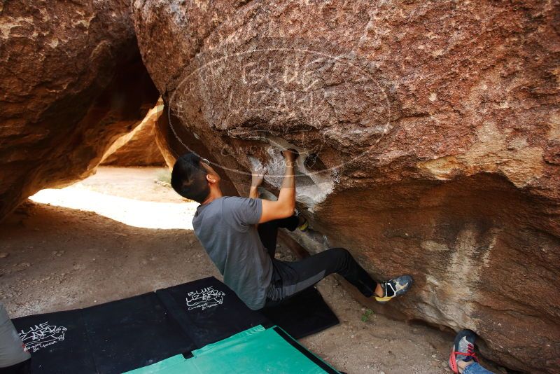 

Filename: SRM_20191110_1107590.jpg
Aperture: f/4.0
Shutter Speed: 1/320
Body: Canon EOS-1D Mark II
Lens: Canon EF 16-35mm f/2.8 L