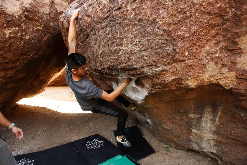 

Filename: SRM_20191110_1108021.jpg
Aperture: f/4.0
Shutter Speed: 1/400
Body: Canon EOS-1D Mark II
Lens: Canon EF 16-35mm f/2.8 L