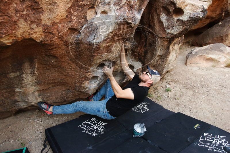 

Filename: SRM_20191110_1108340.jpg
Aperture: f/4.0
Shutter Speed: 1/500
Body: Canon EOS-1D Mark II
Lens: Canon EF 16-35mm f/2.8 L