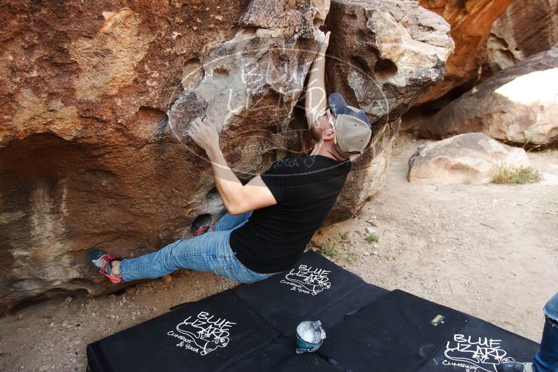 

Filename: SRM_20191110_1108390.jpg
Aperture: f/4.0
Shutter Speed: 1/400
Body: Canon EOS-1D Mark II
Lens: Canon EF 16-35mm f/2.8 L