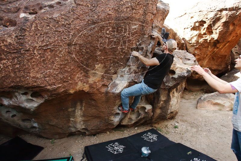 

Filename: SRM_20191110_1108460.jpg
Aperture: f/4.0
Shutter Speed: 1/500
Body: Canon EOS-1D Mark II
Lens: Canon EF 16-35mm f/2.8 L