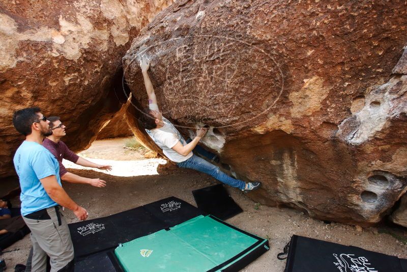 

Filename: SRM_20191110_1113010.jpg
Aperture: f/4.0
Shutter Speed: 1/500
Body: Canon EOS-1D Mark II
Lens: Canon EF 16-35mm f/2.8 L