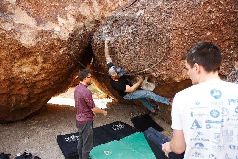 

Filename: SRM_20191110_1119150.jpg
Aperture: f/4.0
Shutter Speed: 1/500
Body: Canon EOS-1D Mark II
Lens: Canon EF 16-35mm f/2.8 L