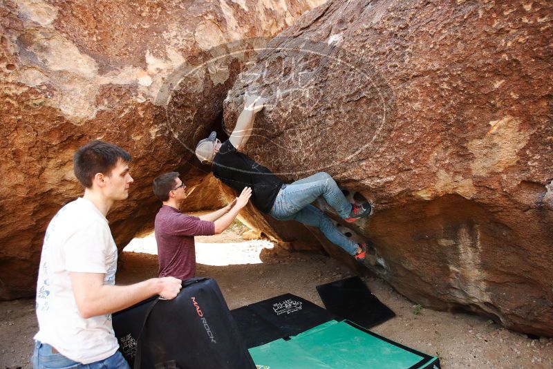 

Filename: SRM_20191110_1119170.jpg
Aperture: f/4.0
Shutter Speed: 1/500
Body: Canon EOS-1D Mark II
Lens: Canon EF 16-35mm f/2.8 L