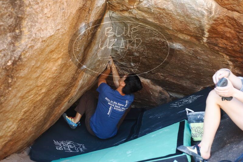 

Filename: SRM_20191110_1144520.jpg
Aperture: f/3.2
Shutter Speed: 1/250
Body: Canon EOS-1D Mark II
Lens: Canon EF 50mm f/1.8 II