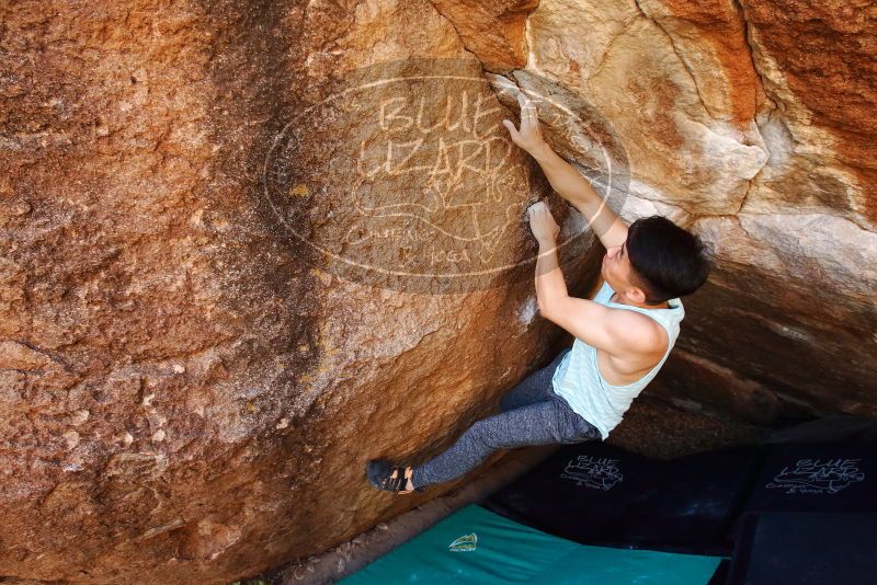 

Filename: SRM_20191110_1201250.jpg
Aperture: f/5.6
Shutter Speed: 1/250
Body: Canon EOS-1D Mark II
Lens: Canon EF 16-35mm f/2.8 L