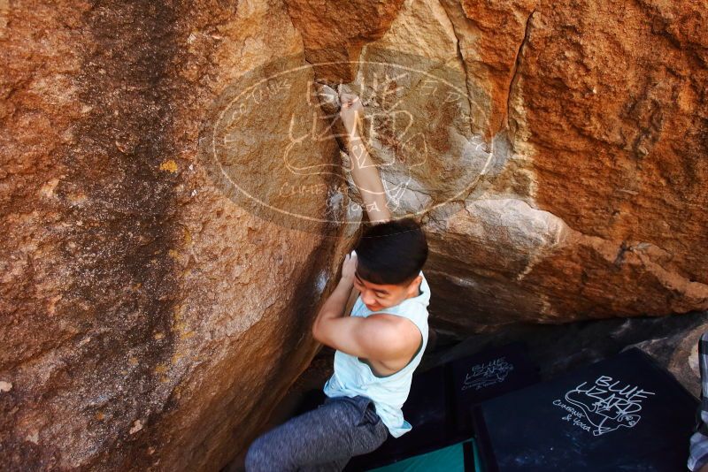 

Filename: SRM_20191110_1201281.jpg
Aperture: f/5.6
Shutter Speed: 1/250
Body: Canon EOS-1D Mark II
Lens: Canon EF 16-35mm f/2.8 L