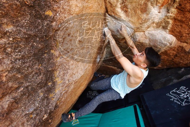 

Filename: SRM_20191110_1211510.jpg
Aperture: f/4.5
Shutter Speed: 1/250
Body: Canon EOS-1D Mark II
Lens: Canon EF 16-35mm f/2.8 L