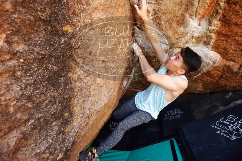 

Filename: SRM_20191110_1211511.jpg
Aperture: f/4.5
Shutter Speed: 1/250
Body: Canon EOS-1D Mark II
Lens: Canon EF 16-35mm f/2.8 L