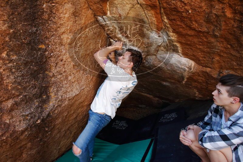 

Filename: SRM_20191110_1215540.jpg
Aperture: f/4.5
Shutter Speed: 1/320
Body: Canon EOS-1D Mark II
Lens: Canon EF 16-35mm f/2.8 L