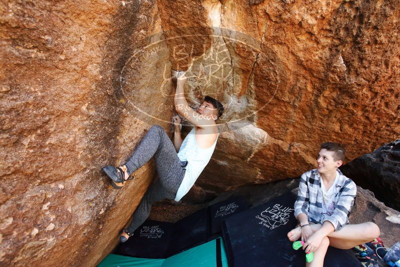 

Filename: SRM_20191110_1218300.jpg
Aperture: f/4.5
Shutter Speed: 1/320
Body: Canon EOS-1D Mark II
Lens: Canon EF 16-35mm f/2.8 L