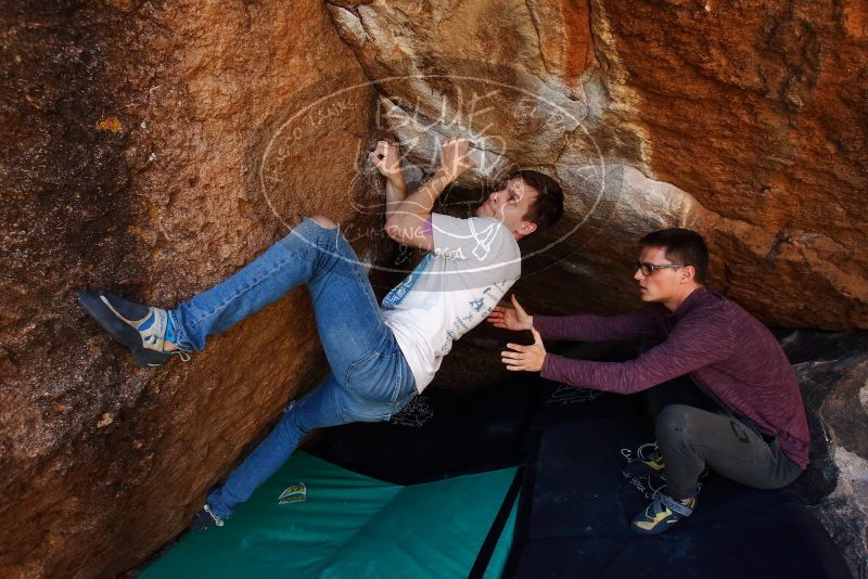 

Filename: SRM_20191110_1220030.jpg
Aperture: f/5.6
Shutter Speed: 1/250
Body: Canon EOS-1D Mark II
Lens: Canon EF 16-35mm f/2.8 L