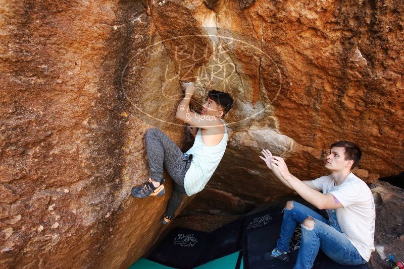 

Filename: SRM_20191110_1224111.jpg
Aperture: f/5.6
Shutter Speed: 1/250
Body: Canon EOS-1D Mark II
Lens: Canon EF 16-35mm f/2.8 L