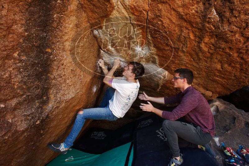 

Filename: SRM_20191110_1226200.jpg
Aperture: f/5.6
Shutter Speed: 1/250
Body: Canon EOS-1D Mark II
Lens: Canon EF 16-35mm f/2.8 L