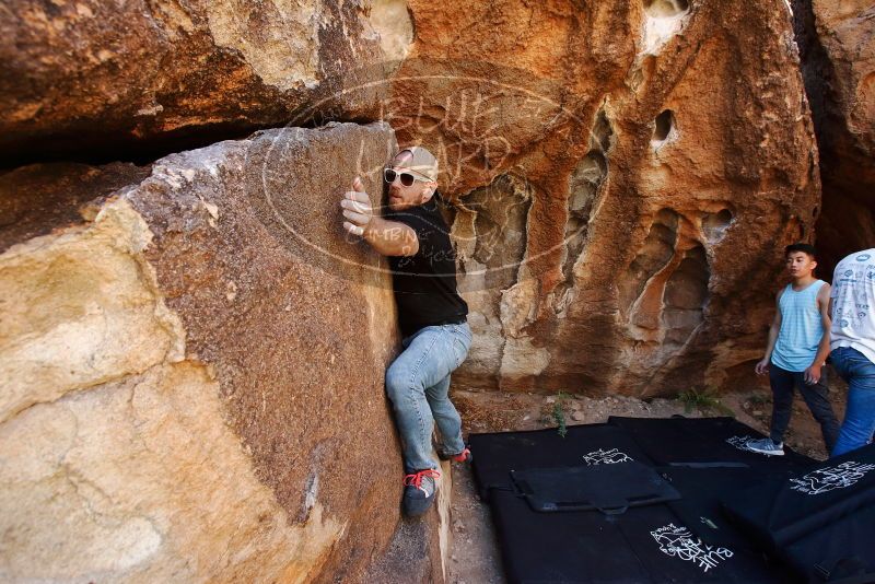 

Filename: SRM_20191110_1238040.jpg
Aperture: f/5.6
Shutter Speed: 1/250
Body: Canon EOS-1D Mark II
Lens: Canon EF 16-35mm f/2.8 L