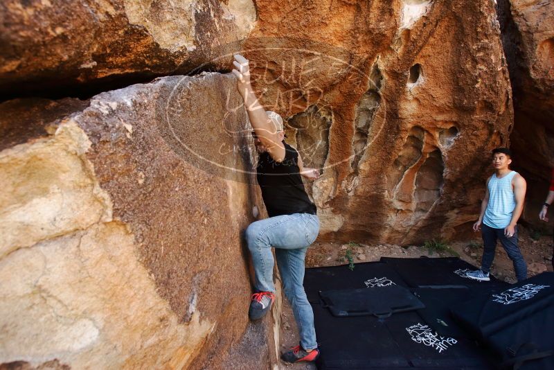 

Filename: SRM_20191110_1238050.jpg
Aperture: f/5.6
Shutter Speed: 1/250
Body: Canon EOS-1D Mark II
Lens: Canon EF 16-35mm f/2.8 L