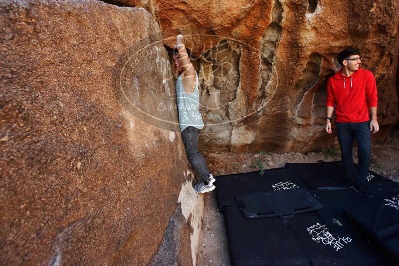 

Filename: SRM_20191110_1238270.jpg
Aperture: f/5.6
Shutter Speed: 1/250
Body: Canon EOS-1D Mark II
Lens: Canon EF 16-35mm f/2.8 L